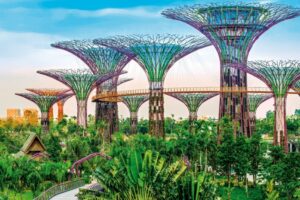 Những chương trình nổi bật