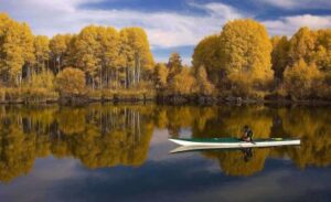 Những chương trình nổi bật